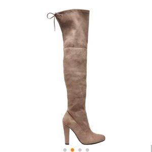 Steve Madden gorgeous taupe velvet boot